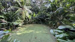 Dempsey Road (D10), Retail #486800001